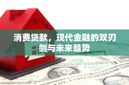 南乐消费贷款，现代金融的双刃剑与未来趋势