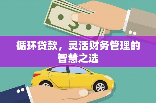 南乐循环贷款，灵活财务管理的智慧之选