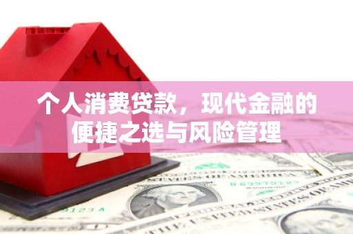 南乐个人消费贷款，现代金融的便捷之选与风险管理