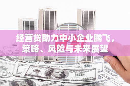 南乐经营贷助力中小企业腾飞，策略、风险与未来展望