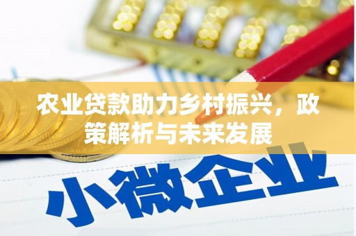 南乐农业贷款助力乡村振兴，政策解析与未来发展