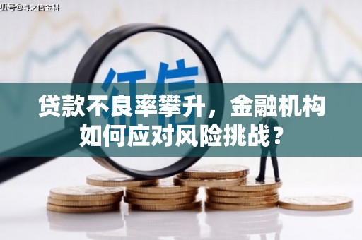 南乐贷款不良率攀升，金融机构如何应对风险挑战？