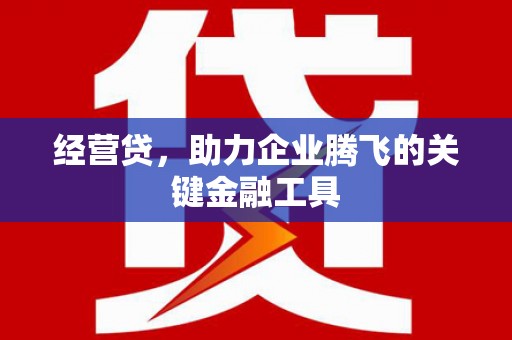 南乐经营贷，助力企业腾飞的关键金融工具