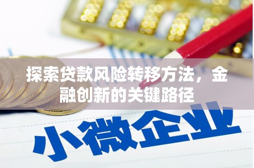 南乐探索贷款风险转移方法，金融创新的关键路径