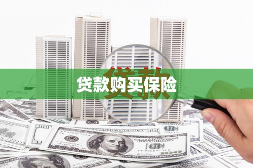南乐贷款购买保险