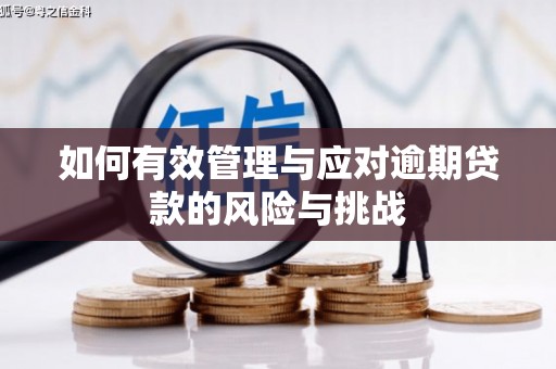 南乐如何有效管理与应对逾期贷款的风险与挑战