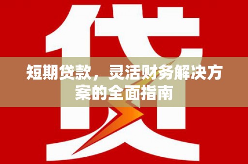 南乐短期贷款，灵活财务解决方案的全面指南