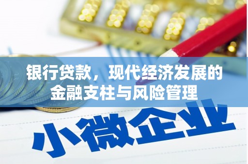 南乐银行贷款，现代经济发展的金融支柱与风险管理