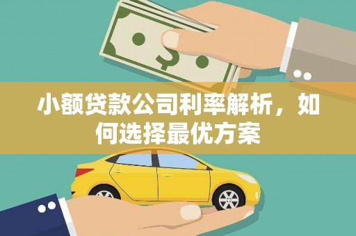 南乐小额贷款公司利率解析，如何选择最优方案