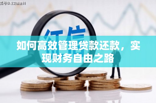南乐如何高效管理贷款还款，实现财务自由之路