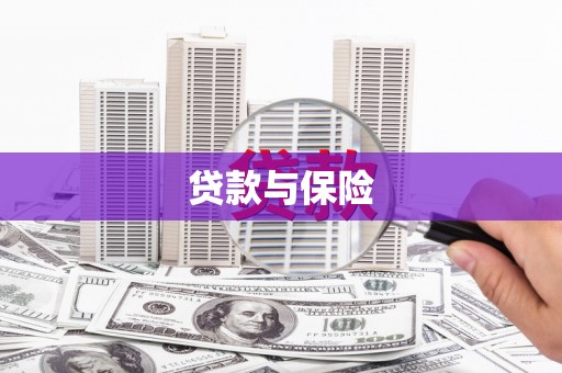 南乐贷款与保险