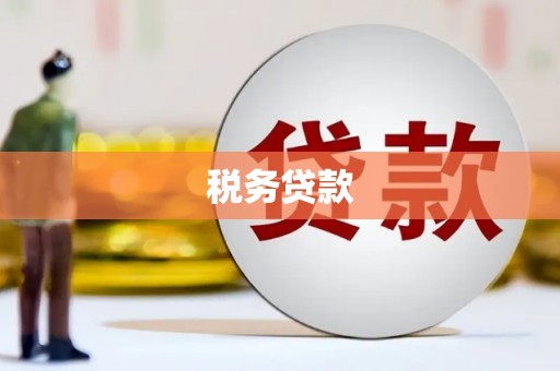 南乐税务贷款