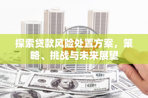 南乐探索贷款风险处置方案，策略、挑战与未来展望