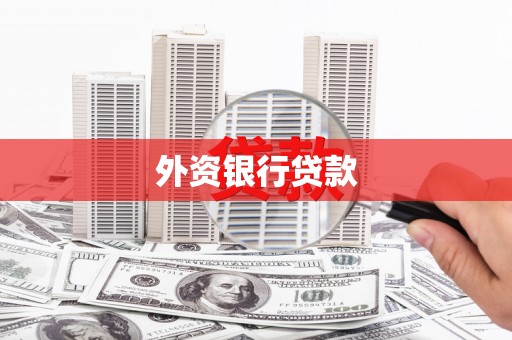 南乐外资银行贷款