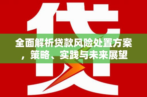 南乐全面解析贷款风险处置方案，策略、实践与未来展望