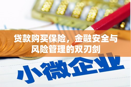 南乐贷款购买保险，金融安全与风险管理的双刃剑