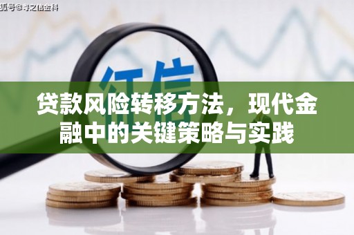 南乐贷款风险转移方法，现代金融中的关键策略与实践