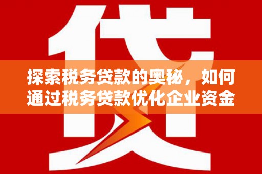 南乐探索税务贷款的奥秘，如何通过税务贷款优化企业资金流