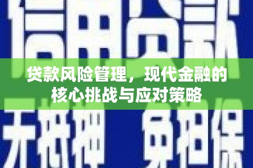 南乐贷款风险管理，现代金融的核心挑战与应对策略
