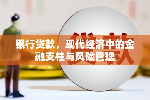 南乐银行贷款，现代经济中的金融支柱与风险管理