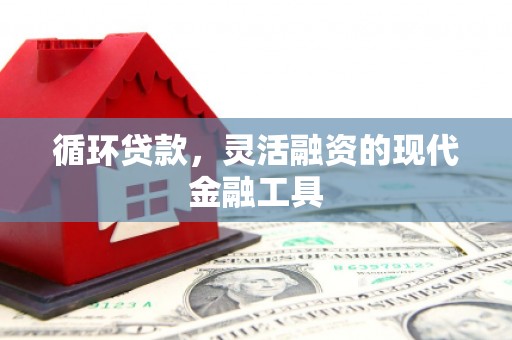 南乐循环贷款，灵活融资的现代金融工具