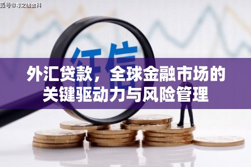 南乐外汇贷款，全球金融市场的关键驱动力与风险管理
