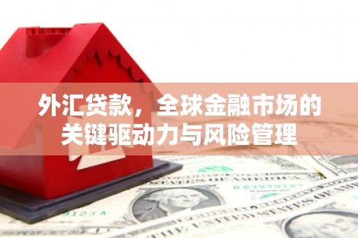 南乐外汇贷款，全球金融市场的关键驱动力与风险管理