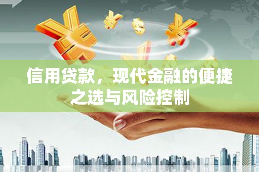 南乐信用贷款，现代金融的便捷之选与风险控制