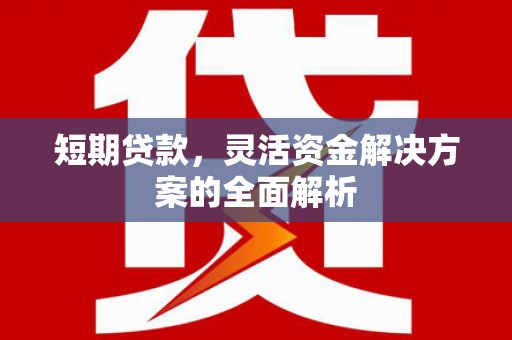 南乐短期贷款，灵活资金解决方案的全面解析