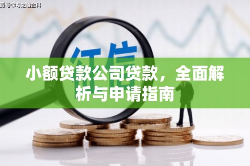 南乐小额贷款公司贷款，全面解析与申请指南