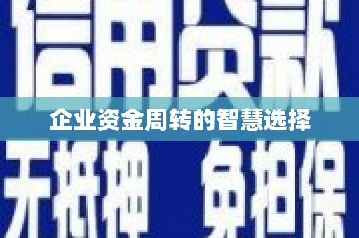 南乐企业资金周转的智慧选择