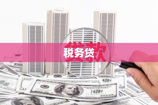 南乐税务贷