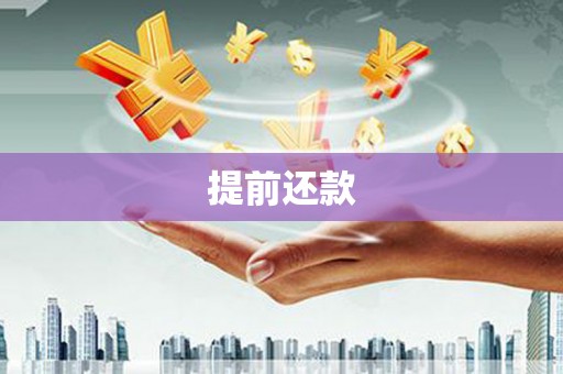 南乐提前还款