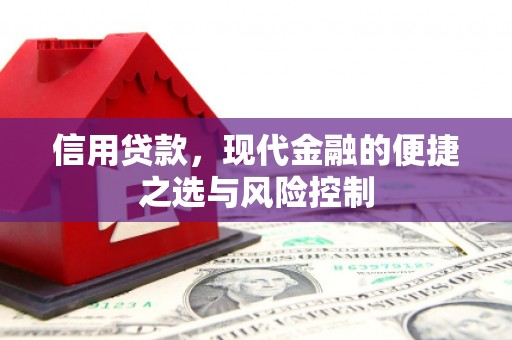 南乐信用贷款，现代金融的便捷之选与风险控制