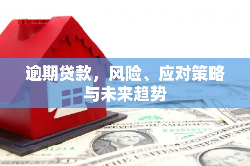 南乐逾期贷款，风险、应对策略与未来趋势