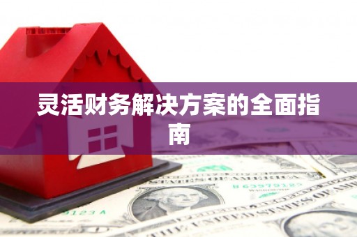 南乐灵活财务解决方案的全面指南