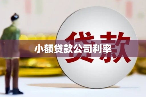 南乐小额贷款公司利率