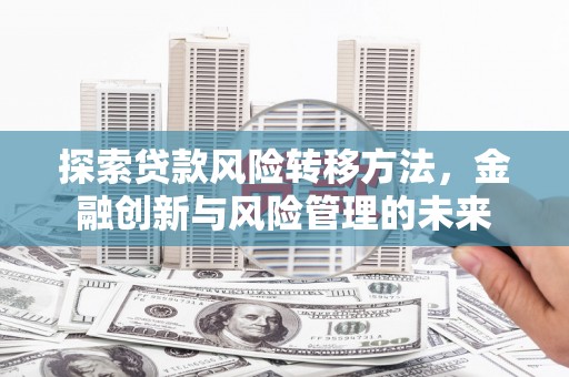 南乐探索贷款风险转移方法，金融创新与风险管理的未来