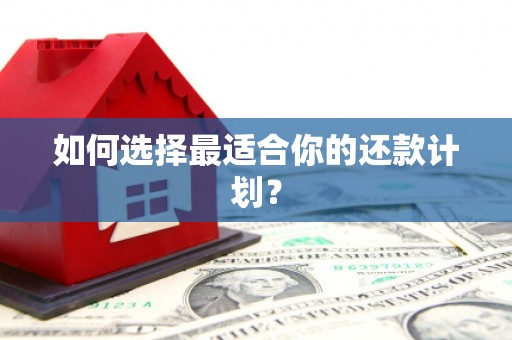 南乐如何选择最适合你的还款计划？