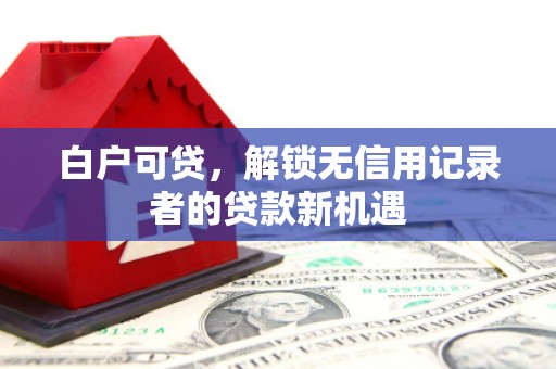 南乐白户可贷，解锁无信用记录者的贷款新机遇