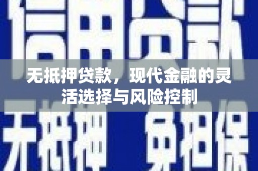 南乐无抵押贷款，现代金融的灵活选择与风险控制