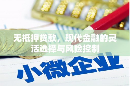 南乐无抵押贷款，现代金融的灵活选择与风险控制