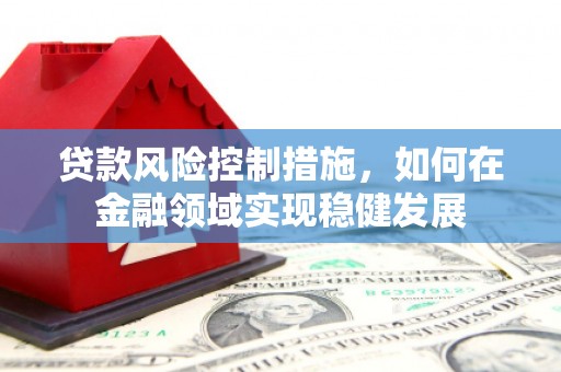 南乐贷款风险控制措施，如何在金融领域实现稳健发展