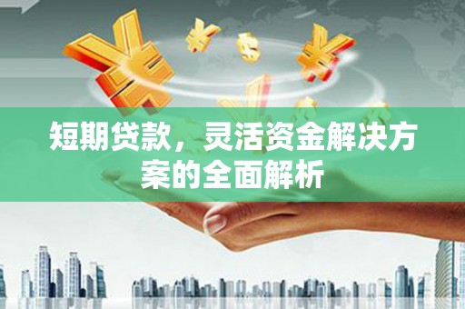 南乐短期贷款，灵活资金解决方案的全面解析