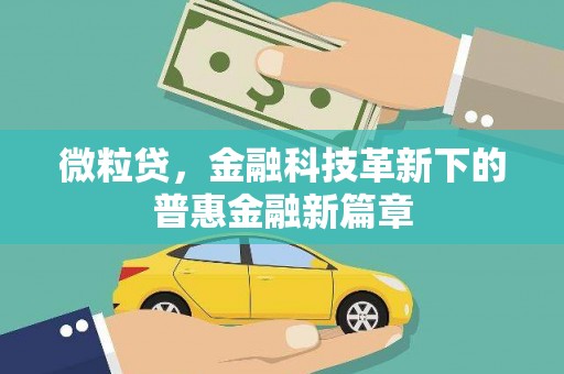 南乐微粒贷，金融科技革新下的普惠金融新篇章
