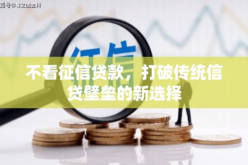 南乐不看征信贷款，打破传统信贷壁垒的新选择