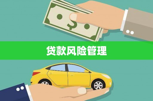 南乐贷款风险管理