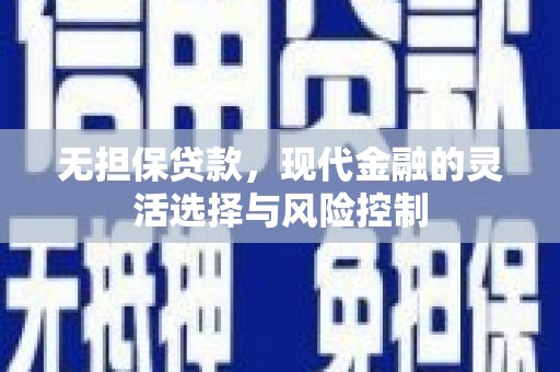 南乐无担保贷款，现代金融的灵活选择与风险控制