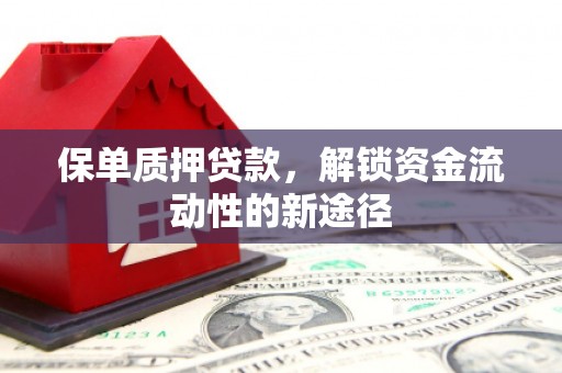 南乐保单质押贷款，解锁资金流动性的新途径