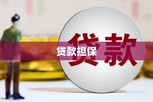 南乐贷款担保